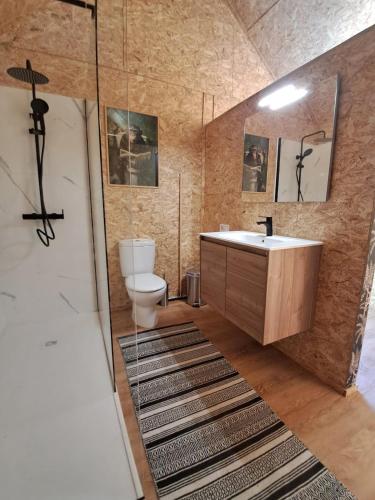 a bathroom with a sink and a toilet at Monkey Tiny Barnhouse with amazing views! in Folhadosa