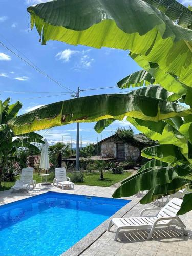 a pool with two chairs and a banana tree at Apartments Ema in Lovran