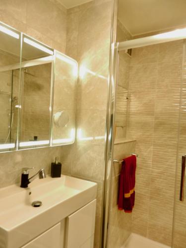 une salle de bain avec un lavabo et une douche dans l'établissement Deux pièces de standing, climatisé, à Paris