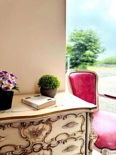 a table with a book and a potted plant and a chair at Ballycrystal House Getaway in Bunclody