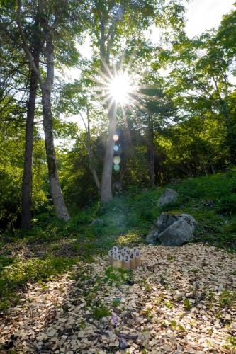 a sun shining through trees in a field with leaves at AKNOT hakone 大涌谷を望むモダニズム建築 東京から90分 in Hakone
