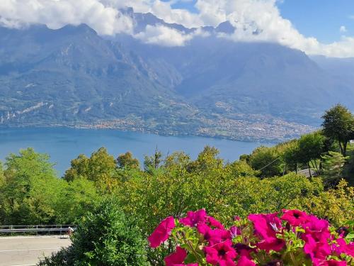 a view of a lake and mountains with pink flowers at PROVINCIALE 79 in Magreglio