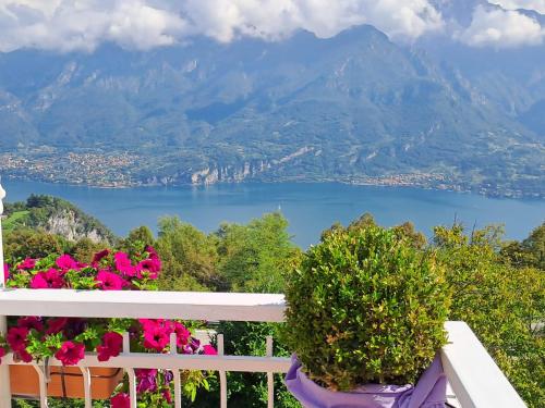 a view of a lake from a balcony with flowers at PROVINCIALE 79 in Magreglio