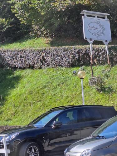 a car parked in front of a sign with a satellite at PROVINCIALE 79 in Magreglio