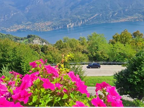 a car driving down a road with a view of a lake at PROVINCIALE 79 in Magreglio