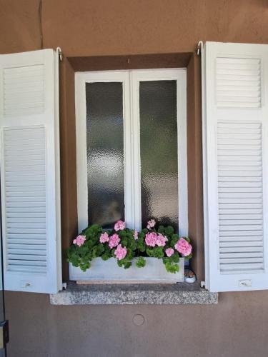 a window with pink flowers in a window box at PROVINCIALE 79 in Magreglio