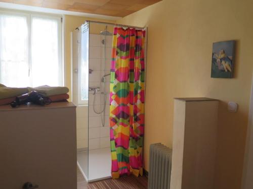 a bathroom with a shower with a colorful shower curtain at Appartement Retzow in Rechlin