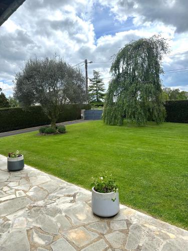 two white pots with flowers in them on a lawn at Les Tulipes in Antrain