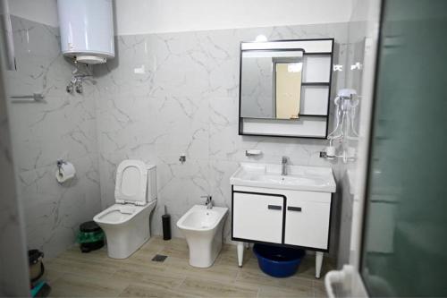 Un baño con lavabo, inodoro y espejo. en Vila BENE, en Pogradec