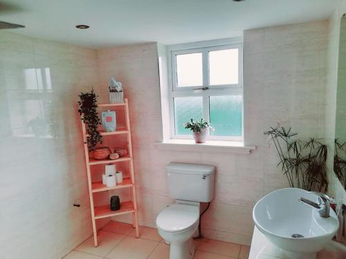 a bathroom with a toilet and a sink and a window at Conveniently located house to enjoy all of Kerry in Tralee