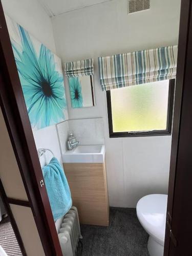 a small bathroom with a sink and a toilet at Hare Meadow Lodge in Mellor