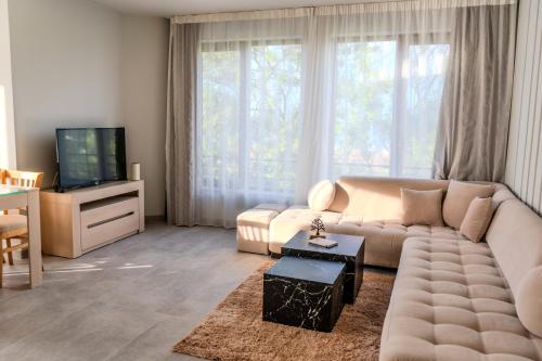 a living room with a couch and a tv at Dion Apartments in Lozenets