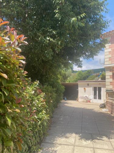 un grand arbre au-dessus d'une allée dans une cour dans l'établissement Villeneuve loubet studio Cigalou, à Villeneuve-Loubet