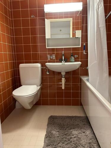 a bathroom with a toilet and a sink at St Moritz Suite in St. Moritz