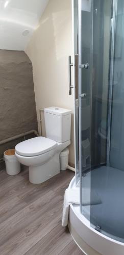 a bathroom with a toilet and a glass shower at Chambres d'Hôtes Maison Balady in Bellenaves