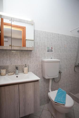 a bathroom with a toilet and a sink and a mirror at FLOWERS STUDIOS in Skala
