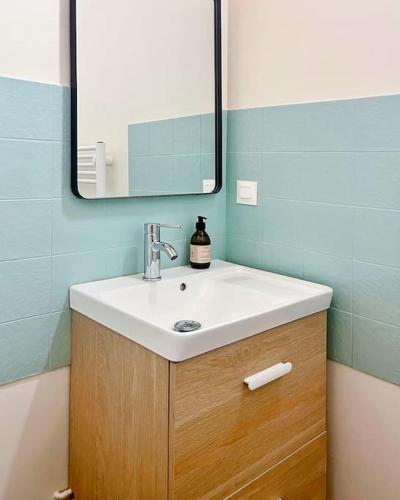 une salle de bain avec un lavabo et un miroir dans l'établissement T2 cosy proche golf et plage, à Capbreton