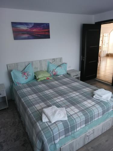1 dormitorio con 1 cama grande con manta a cuadros en La Prietenicu, en Murighiol