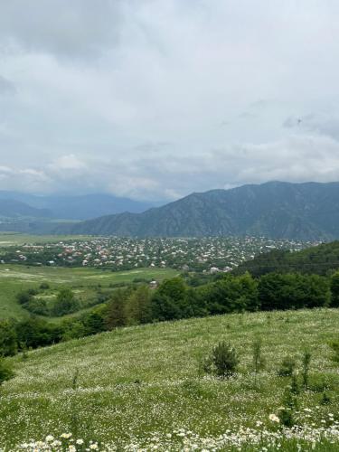 a view of a green field with mountains in the background at Yeghevni Guest House in Odzun in Odzun