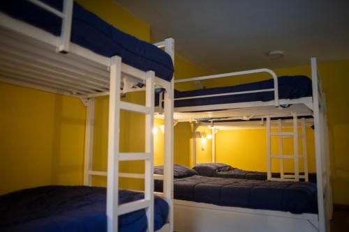 two bunk beds in a room with yellow walls at Villa Palatina in Bolgues