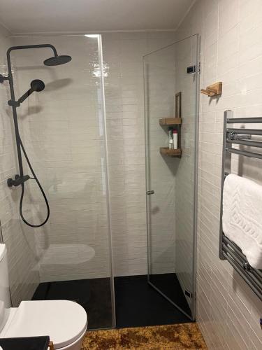 a shower with a glass door in a bathroom at Villa Elia in Seixas