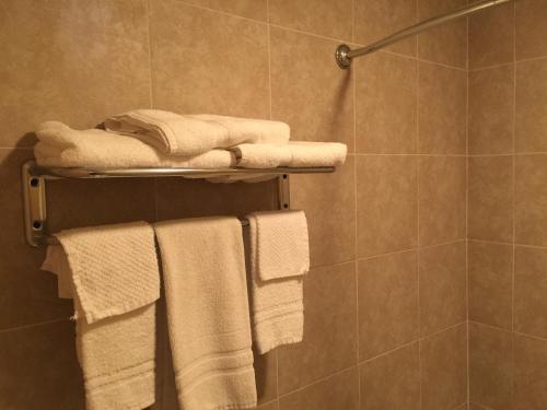 un baño con toallas blancas en un toallero. en Budget Inn - Saint Robert, en Saint Robert