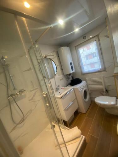 une salle de bain avec une douche, des toilettes et un lavabo dans l'établissement Alfortville Jolie cocon, à Alfortville