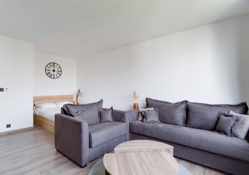 un salon avec un canapé et une table dans l'établissement Grand studio proche tram et Stade de France, à Saint-Denis