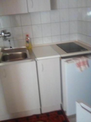 a small kitchen with a sink and a refrigerator at Ilona Vendégház in Siófok