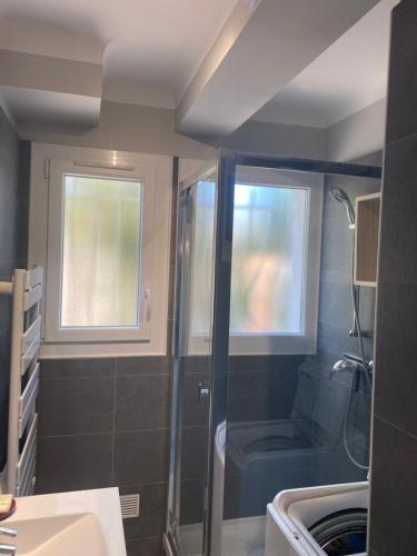 une salle de bain avec une douche et un lavabo et une fenêtre dans l'établissement Rez de villa Grand T2 proche plage Marvivo-Sablettes, à La Seyne-sur-Mer