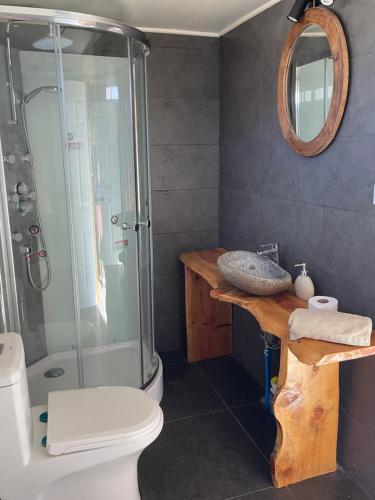 a bathroom with a shower and a toilet and a sink at Cabaña Palafito in Coelemu
