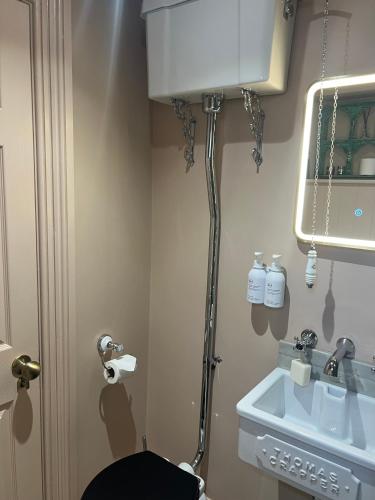 a bathroom with a toilet and a sink at Pallant Hideaway in Chichester
