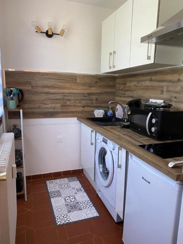 une cuisine avec un évier et une machine à laver dans l'établissement Parc paradis, à Gréoux-les-Bains