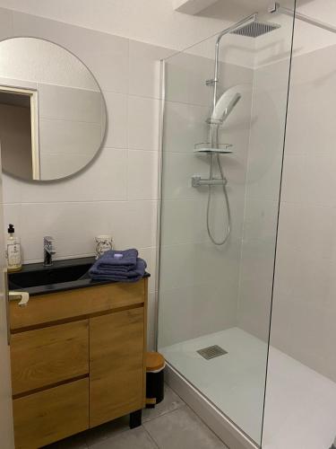 une salle de bain avec une douche, un lavabo et un miroir dans l'établissement Parc paradis, à Gréoux-les-Bains