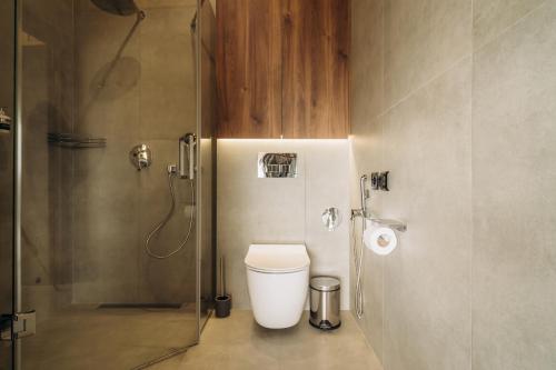 a bathroom with a toilet and a shower at Mandra Morion in Ogrody