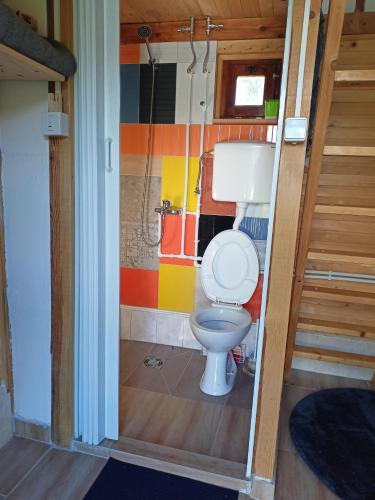 a bathroom with a toilet in a room at Aurora Tara 3 in Zaovine
