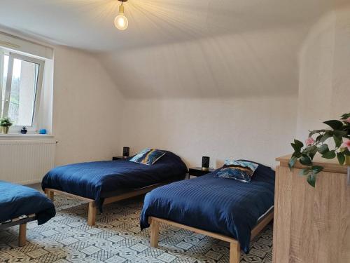 Cette chambre comprend 2 lits avec des draps bleus et une fenêtre. dans l'établissement L'Art Nouveau près de Nancy, à Varangéville