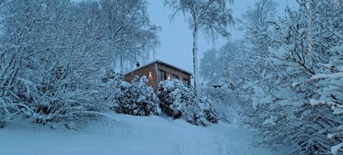 a house in a snow covered forest with trees at Chata Kateřinky in Korouhev
