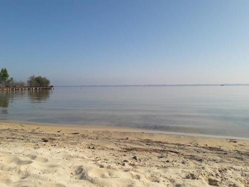 Gallery image of Maison du Lac avec plage privée in Biscarrosse