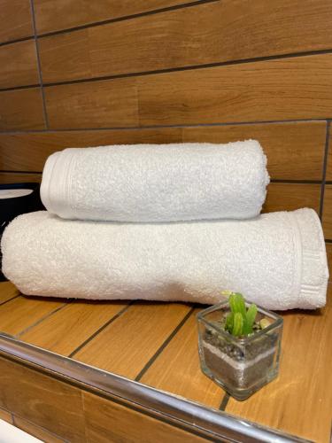 une pile de serviettes en papier sur une étagère avec une plante dans l'établissement Studio Antibes Juan les Pins, à Antibes