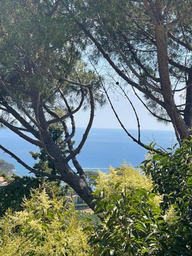 K-Sea Villa Boutique De Luxe à Cassis photo 2