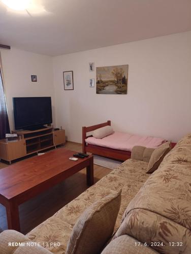 TV a/nebo společenská místnost v ubytování Apartments Salute