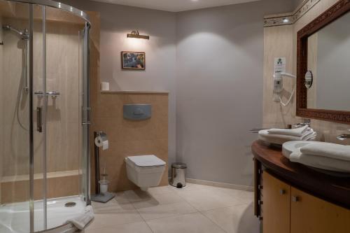 a bathroom with a shower and a toilet and a sink at Hotel Salve in Głogówek
