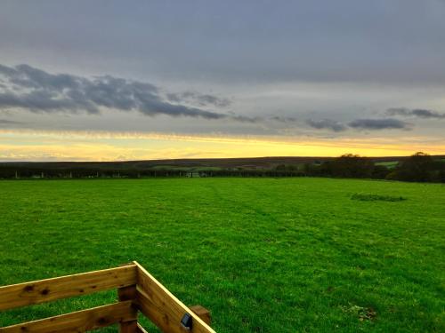 Cow Pasture Pod photo 17