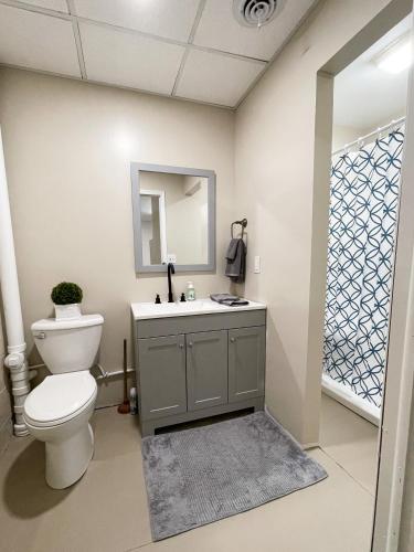 a bathroom with a toilet and a sink and a mirror at 2 Bed, 1 Bath, Lower Level Loft in New Baltimore