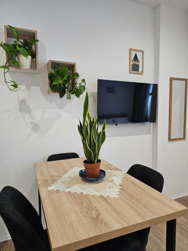 Apartment's City Center Aquilo