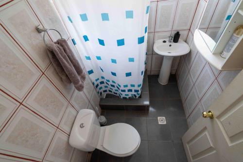 a small bathroom with a toilet and a sink at Cabañas Rivadavia Spa in Vicuña