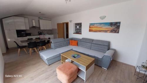 Apartment Plesa