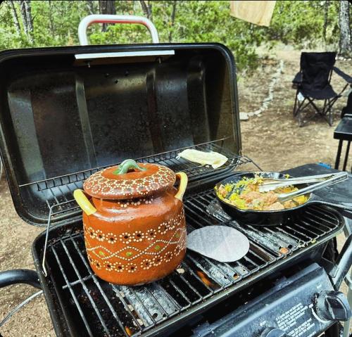 Kemudahan BBQ tersedia untuk tetamu di perkhemahan ini