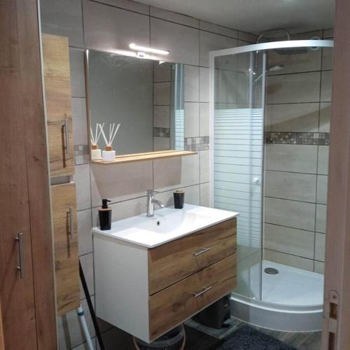 une salle de bain avec un lavabo et une douche dans l'établissement Duplex Campagne, à Tocane-Saint-Apre